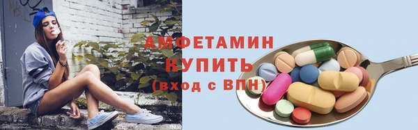 индика Кинешма