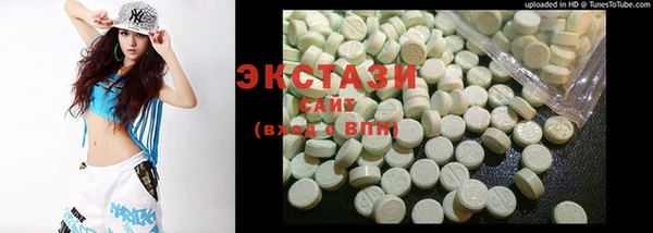 крисы Козельск