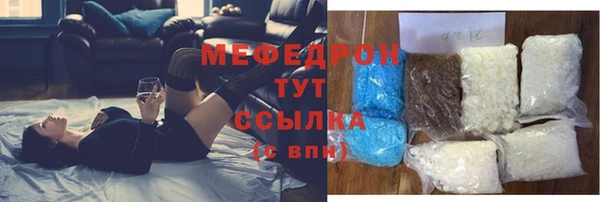 индика Кинешма