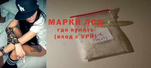 крисы Козельск