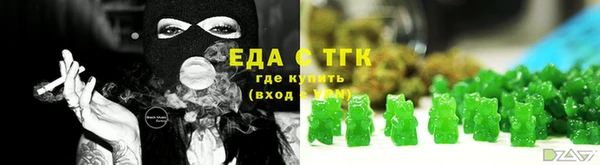 индика Кинешма