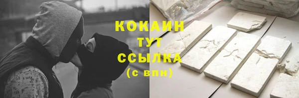 индика Кинешма