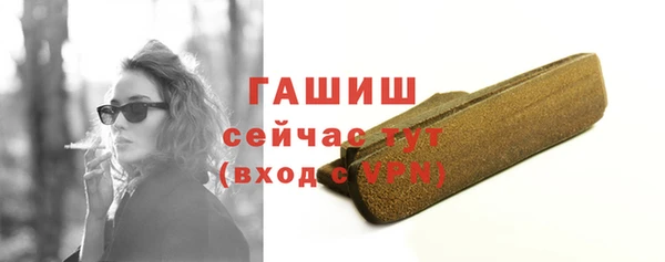индика Кинешма