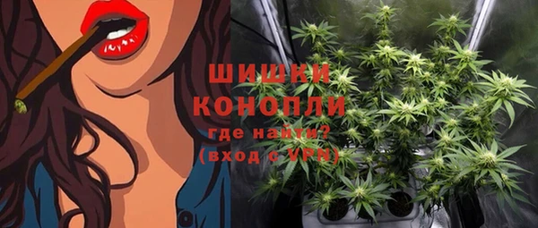 индика Кинешма