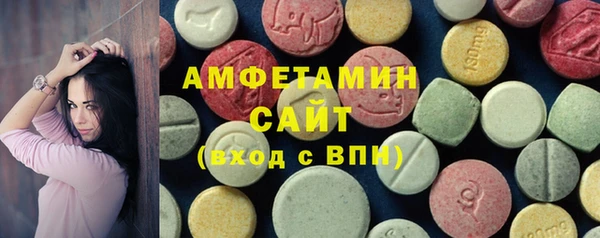 индика Кинешма