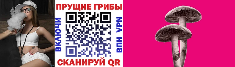 купить наркотик  Лихославль  Галлюциногенные грибы мухоморы 